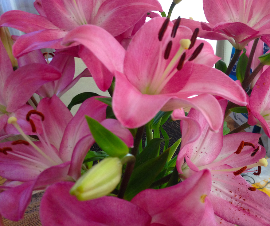 Screen Shot 2018-04-16 at 2.32.33 PM