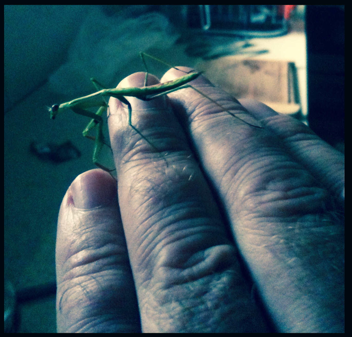 Screen Shot 2018-04-16 at 2.33.48 PM